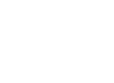 Panoramic Capital Partners Logo